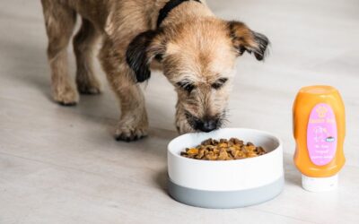 Pomohlo krmivo Juliet s průjmem?