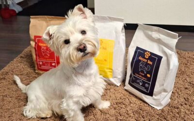 Online magazín CricksyDog 19 Pejsci, kteří jedí CricksyDog už přes 2 roky – zkušenosti majitelů