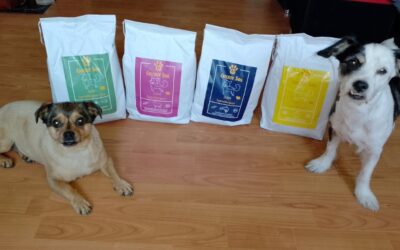 Sezónnost v krmení psů – na co si dát pozor v létě a zimě?