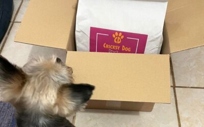 Nákup Juliet hipoalergenního jehněčího krmiva – vše, co potřebuješ vědět