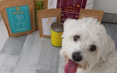 Online magazín CricksyDog 22 Jak kombinovat krmiva podle potřeb tvého psa?