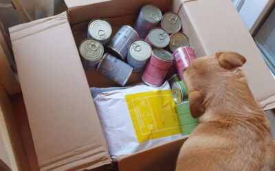 Objednej si oblíbené CricksyDog krmivo v předplatném