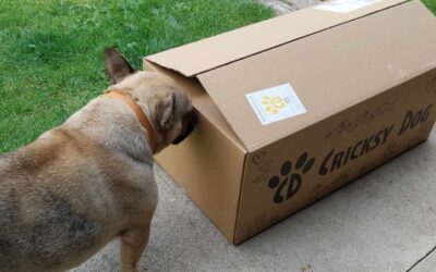 Jak co nejlépe využít balzám na tlapky Chloé?