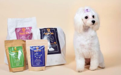 Po objednávce Twinky kloubového prášku – kolikrát denně podávat?