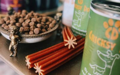 Juliet pro malého, vybíravého psa – bylo to řešení?