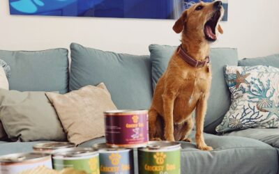 Online magazín CricksyDog 19 Jak poznáš, že Twinky vitamín už funguje na tvého psa?