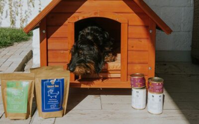 Užitečné triky, jak nezapomenout na opětovnou objednávku