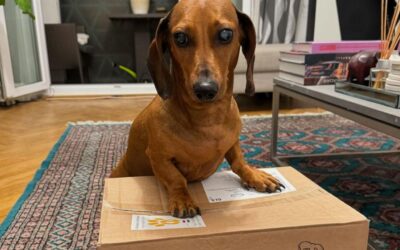 Kdy znovu objednat CricksyDog krmivo?