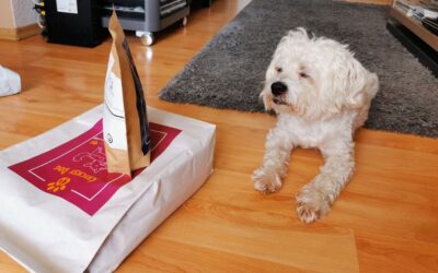 Zpětná vazba od zákazníků na dentální čističe CricksyDog