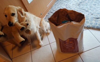 Co zaznamenali majitelé u psů s kožními problémy po krmivu Juliet?