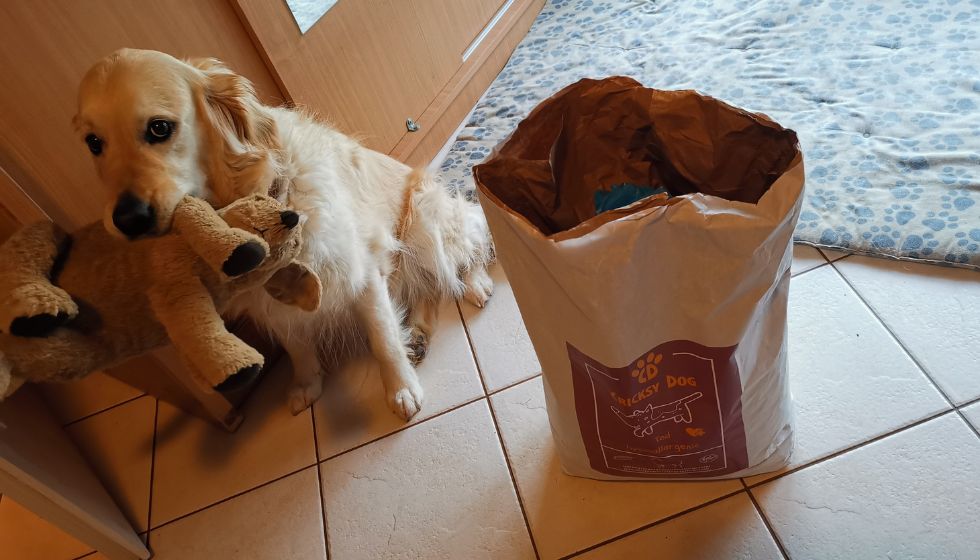 Co zaznamenali majitelé u psů s kožními problémy po krmivu Juliet?