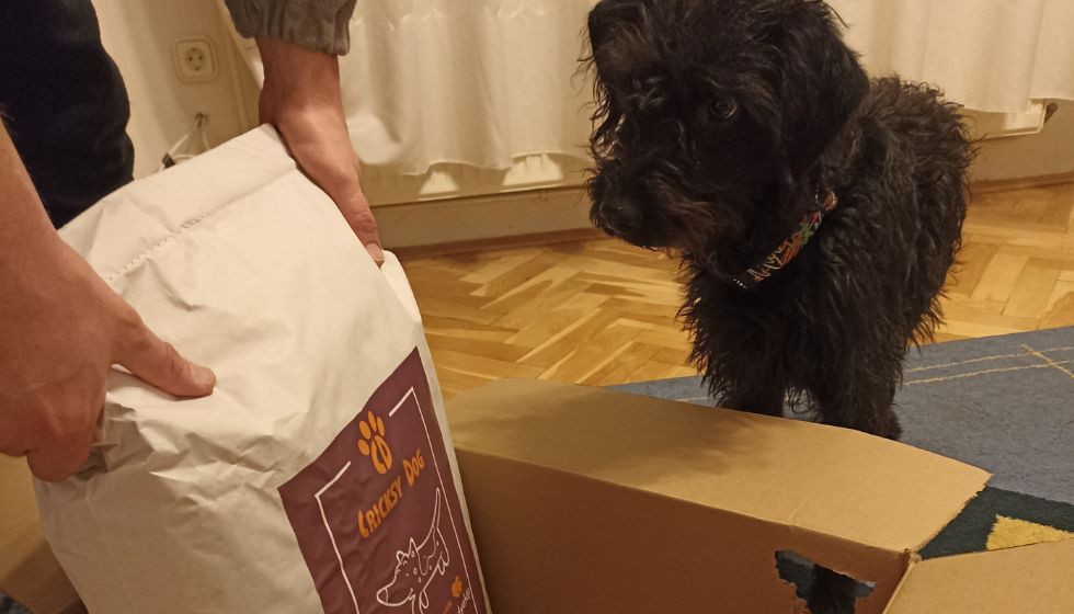 Zkušenosti se zákaznickou podporou e-shopu CricksyDog – jsou rychlí a ochotní?