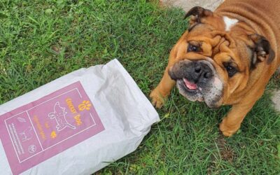 Co říkají majitelé malých psů na zubní čistič Denty Mini?