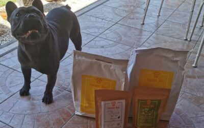 Recenze na poměr cena–výkon u krmiv CricksyDog