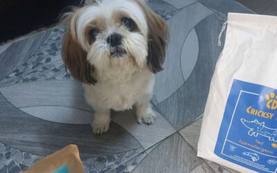 Twinky na klouby nebo chrupavku? Co říkají zákazníci?