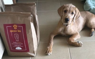 CricksyDog krmivo pro alergické psy – hodnocení zákazníků