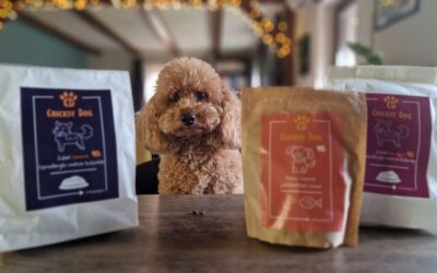 Denty Mini při pravidelném používání – reálná zpětná vazba