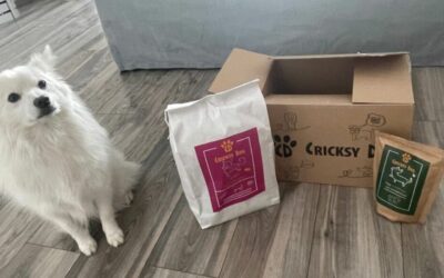 Názory majitelů: stálo za to přejít na CricksyDog krmivo?