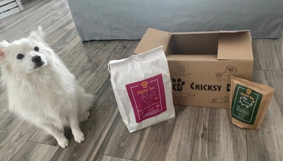 Názory majitelů: stálo za to přejít na CricksyDog krmivo?