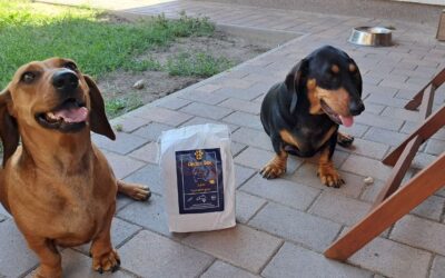 Co řekli majitelé po první porci krmiva CricksyDog?