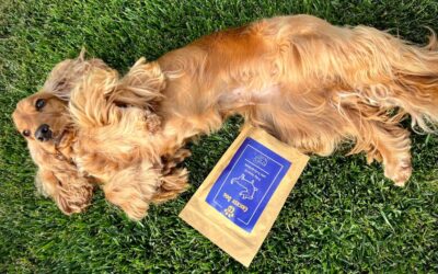 Recenze krmiva Juliet pro malé psy podle plemen