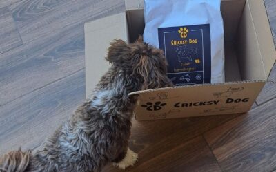 Jak pomohla CricksyDog omáčka při změně krmiva?