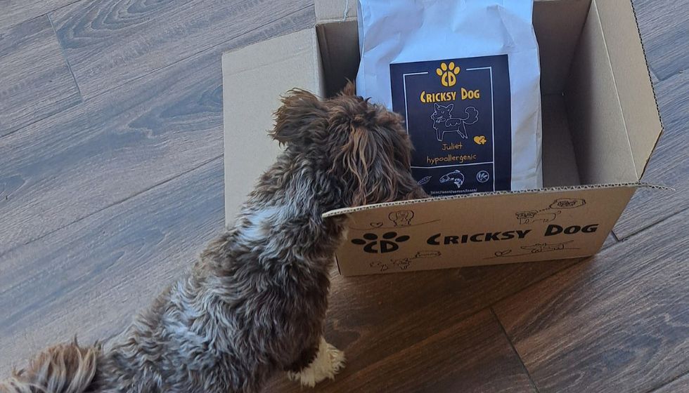 Jak pomohla CricksyDog omáčka při změně krmiva?