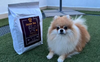 Zkušenosti s Juliet hipoalergenním jehněčím krmivem po 2 týdnech – co zaznamenali majitelé?