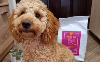 Které CricksyDog krmivo nejlépe pomáhá alergickým psům?