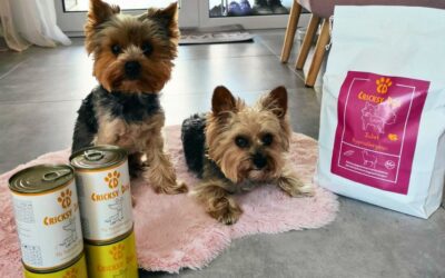 Online magazín CricksyDog 17 Nejčastější otázky a odpovědi od zákazníků CricksyDog