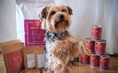 Online magazín CricksyDog 23 Oblíbené kombinace našich zákazníků – tohle jim fungovalo