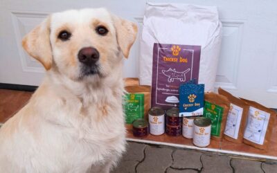 Online magazín CricksyDog 23 Twinky a Chloé produkty během dovolené – na co si dát pozor?