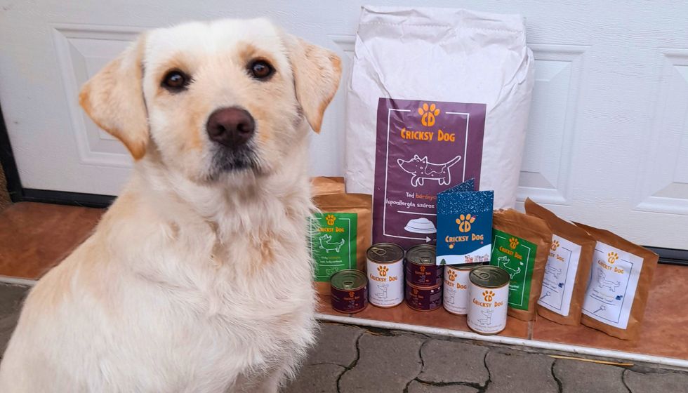 Twinky a Chloé produkty během dovolené – na co si dát pozor?
