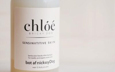 Účinek šamponu Chloé od CricksyDog na citlivou kůži – zkušenosti