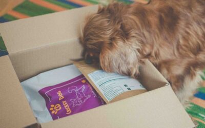 Dlouhodobé účinky krmiva Juliet s jehněčím