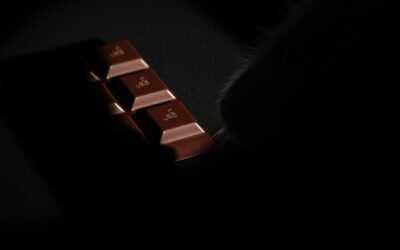 Může moje kočka jíst čokoládu? – Vše, co o tom musíš vědět!