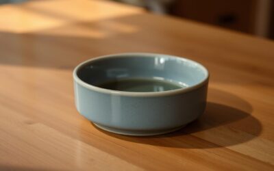 Kočičí blog 21 Proč stále shazuje misku s vodou?