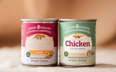 Jehněčí nebo kuřecí krmivo – co je lepší pro citlivé kočky?