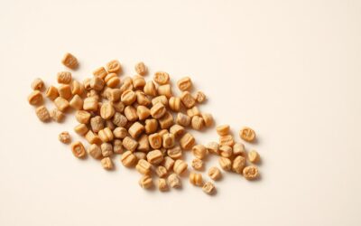 Menší nebo větší granule? – kočičí preference