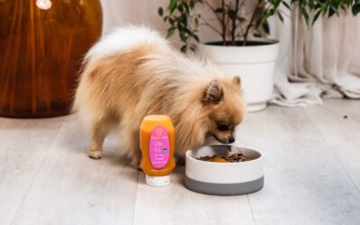 Online magazín CricksyDog 20 Co dělat, když pes jí jen Mr. Easy veganský prémiový preliv?