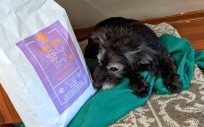 Online magazín CricksyDog 17 Co dělat, když tvůj pes stárne, ale nechce změnit krmivo?