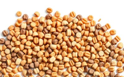 Srovnání krmiva pro malé psy – cena, složení, velikost granulí
