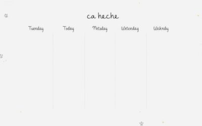 Online magazín CricksyDog 19 Sváteční rozvrh pro psy – jak se vyhnout zmatku