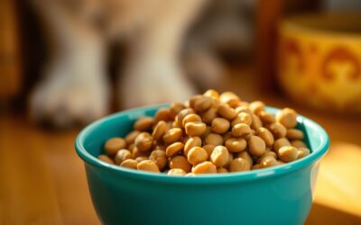 CricksyDog krmivo pro alergické psy – skutečné příběhy úspěchu