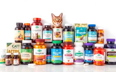 Kočičí blog 22 Multivitamin pro kočky – na co si dát pozor při výběru?