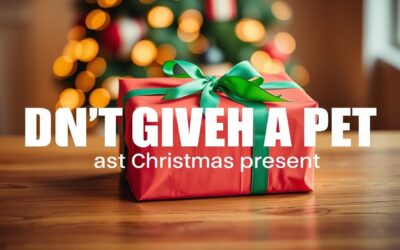 Online magazín CricksyDog 21 Proč NEdávat psa jako vánoční dárek – ani z útulku!