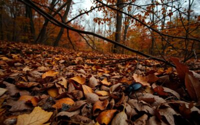 Podzimní sezóna klíšťat – nenechte se ukolébat koncem léta!
