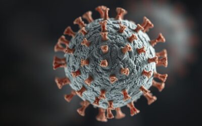 Kočičí kalicivirus – Všechno, co o tom potřebujete vědět!