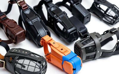 Online magazín CricksyDog 23 Typy náhubků pro psy – Všechno, co o tom musíš vědět!