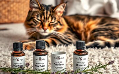 Kočičí blog 18 Éterické oleje proti blechám pro kočky – Všechno, co o tom musíš vědět!